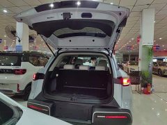 BYD Yuan UP 2025 301KM Pilot Edition - ფოტო 19