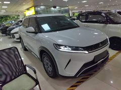 BYD Yuan UP 2025 301KM Pilot Edition - ფოტო 4