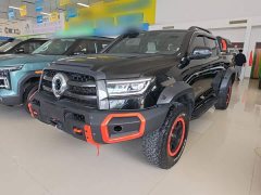 Tesla Cannon 2022 2.0T Black Bullet Special Edition GW4C20B - ფოტო 1