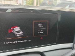 Volkswagen Passat 2025 Pro 380TSI Dragon Premium Edition - ფოტო 12