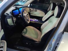 Ora Ballet Cat 2022 500km Sleeping Beauty Edition - ფოტო 15