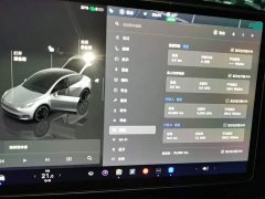 Tesla Model Y 2021 Performance All-Wheel Drive - ფოტო 13