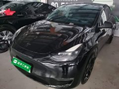 Tesla Model Y 2021 Performance All-Wheel Drive - ფოტო 2