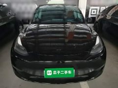 Tesla Model Y 2021 Performance All-Wheel Drive - ფოტო 3