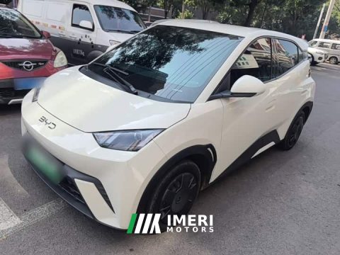 2025 BYD Seagull 305km Vitality Edition - автомобиль из Китая