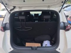 BYD Seagull 305km Vitality Edition - ფოტო 19