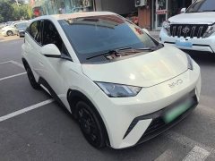 BYD Seagull 305km Vitality Edition - ფოტო 4