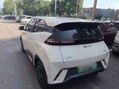 BYD Seagull 305km Vitality Edition - ფოტო 5