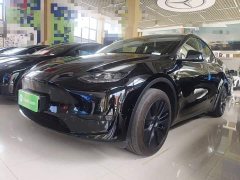 Tesla Model Y 2023 Rear-Wheel Drive - ფოტო 2