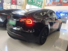 Tesla Model Y 2023 Rear-Wheel Drive - ფოტო 7