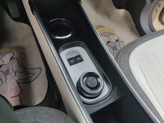 Geely Panda Mini 210km Vitality Edition - ფოტო 14