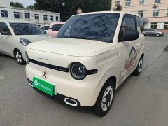 Geely Panda Mini 210km Vitality Edition - ფოტო 2