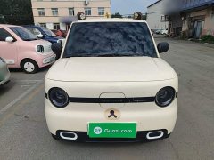 Geely Panda Mini 210km Vitality Edition - ფოტო 3