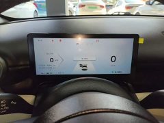 Wuling Binguo PLUS 2024 401km 5-Seater - ფოტო 12