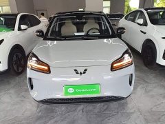 Wuling Binguo PLUS 2024 401km 5-Seater - ფოტო 3