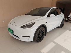 Tesla Model Y Long Range All-Wheel Drive - ფოტო 2