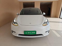 Tesla Model Y Long Range All-Wheel Drive - ფოტო 3