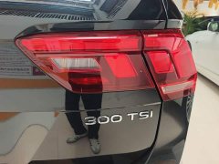 Volkswagen Tiguan L Outstanding Edition 300TSI Automatic FWD Dragon Ascendant Version - ფოტო 8