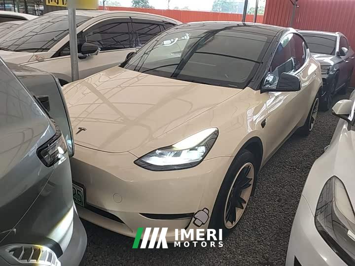 Tesla Model Y Standard Range RWD - ავტომობილი ჩინეთიდან