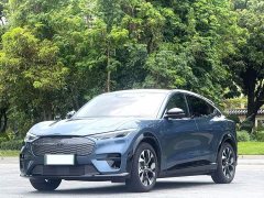Ford Mustang Mach-E 2021 Boundless RWD Luxury Long Range - ფოტო 2