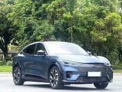 Ford Mustang Mach-E 2021 Boundless RWD Luxury Long Range - ფოტო 4