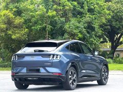 Ford Mustang Mach-E 2021 Boundless RWD Luxury Long Range - ფოტო 7