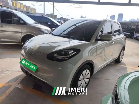 2023 Wuling Binguo 203km Light Enjoy Edition - ავტომობილი ჩინეთიდან