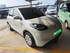 Wuling Binguo 203km Light Enjoy Edition - ფოტო 4