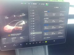 Tesla Model 3 2023 Rear-Wheel Drive - ფოტო 12