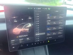 Tesla Model 3 2023 Rear-Wheel Drive - ფოტო 13