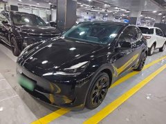 Tesla Model Y Rear-Wheel Drive - ფოტო 2