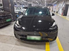 Tesla Model Y Rear-Wheel Drive - ფოტო 3