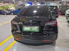 Tesla Model Y Rear-Wheel Drive - ფოტო 6