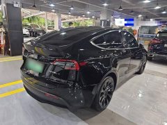 Tesla Model Y Rear-Wheel Drive - ფოტო 7