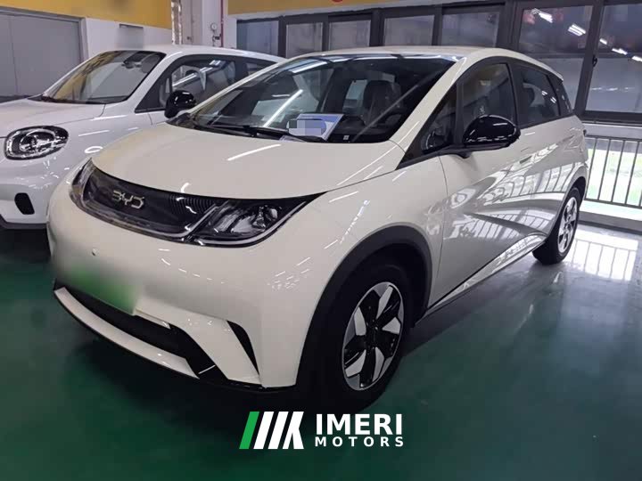 BYD Dolphin 420km Freedom Edition