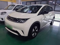 BYD Dolphin 2025 420km Freedom Edition - ფოტო 1