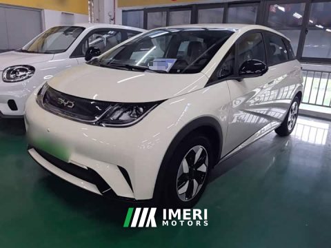2026 BYD Dolphin 2025 420km Freedom Edition - ავტომობილი ჩინეთიდან