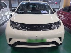 BYD Dolphin 2025 420km Freedom Edition - ფოტო 3
