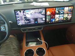 Li Auto L9 2022 Max - ფოტო 14