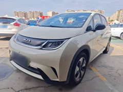 BYD Dolphin 2025 420km Freedom Edition - ფოტო 1