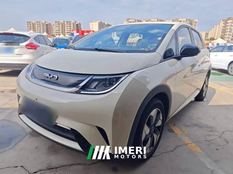 2026 BYD Dolphin 2025 420km Freedom Edition - ავტომობილი ჩინეთიდან