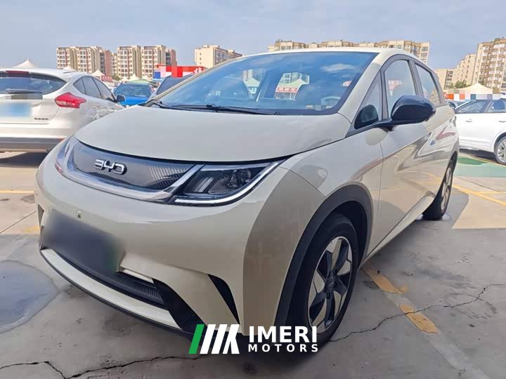 BYD Dolphin 420km Freedom Edition