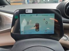 BYD Dolphin 2025 420km Freedom Edition - ფოტო 12