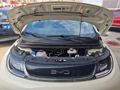 BYD Dolphin 2025 420km Freedom Edition - ფოტო 20