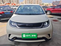 BYD Dolphin 2025 420km Freedom Edition - ფოტო 3