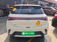 BYD Dolphin 2025 420km Freedom Edition - ფოტო 6