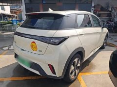 BYD Dolphin 2025 420km Freedom Edition - ფოტო 7