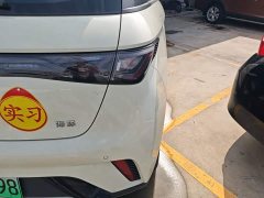 BYD Dolphin 2025 420km Freedom Edition - ფოტო 8