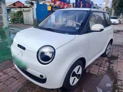 Changan Lumin Treasure Edition 205km Cool Love White CATL - ფოტო 1