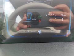 Changan Lumin Treasure Edition 205km Cool Love White CATL - ფოტო 12